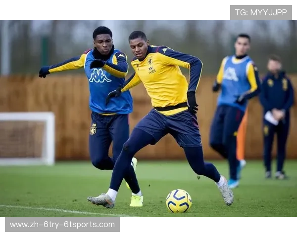 英超球员傍身助手在体育训练中的作用探讨