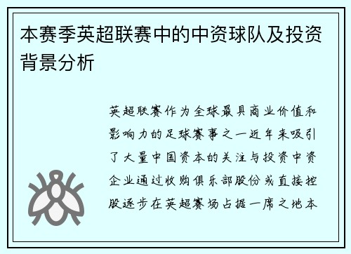 本赛季英超联赛中的中资球队及投资背景分析