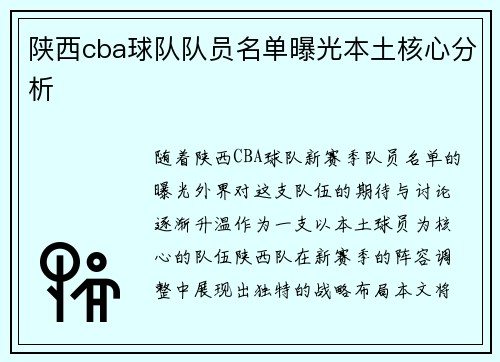 陕西cba球队队员名单曝光本土核心分析